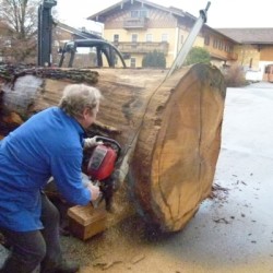 Baum zuschneiden