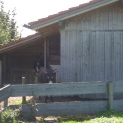 Unterstand - Eselhütte