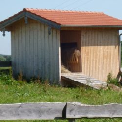 Unterstand für Streicheltiere und Heulagerung im Fachwerkbau