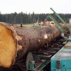 Zuschnitt des Mondphasenholzes für das Köhldorfner Muster-Holzhaus