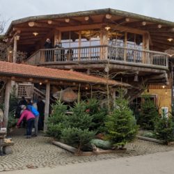 10. Köhldorfner Christbaumtag